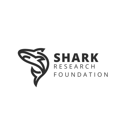 Shark Senses: How Do Sharks See, Hear, and Smell? - Shark Research ...